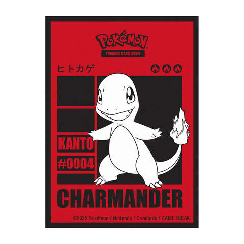 Pokemon Charmander Protector (65)