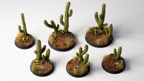 Preorder - Basing Bits - Saguaro Cacti