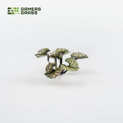 Preorder - Laser Plants - Bugloss