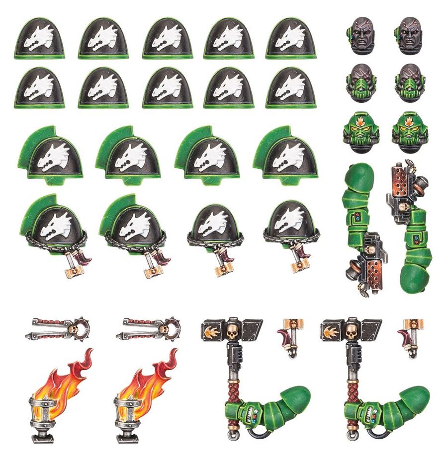 Upgrades und Abziehbilderbögen: Salamanders Primaris