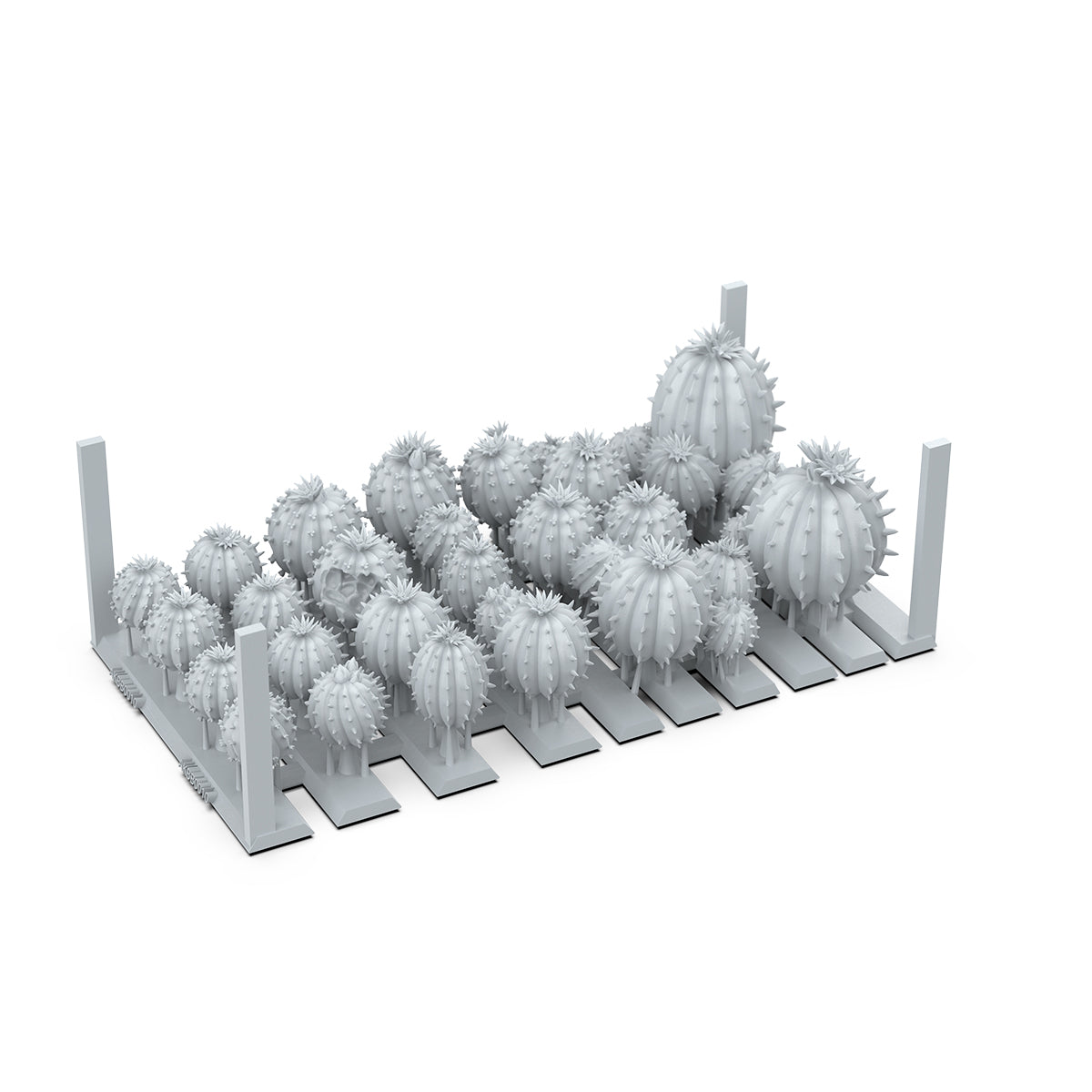 BARREL CACTUS – AK BASING BITS