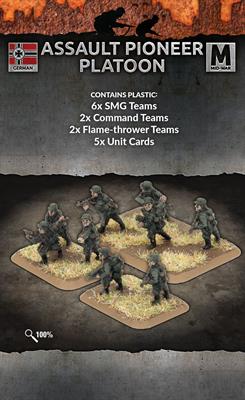 Assault Pioneer Platoon (Plastic)