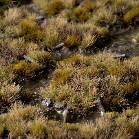 Marshland Set Wild