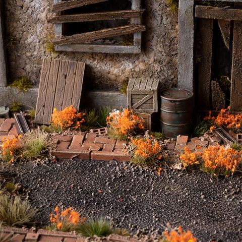 Orange Flowers Wild