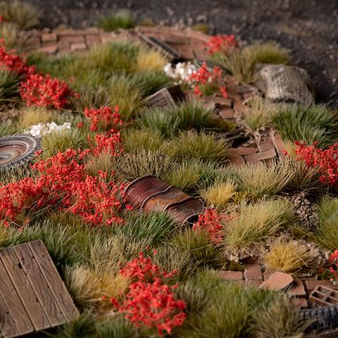 Red Flowers Wild