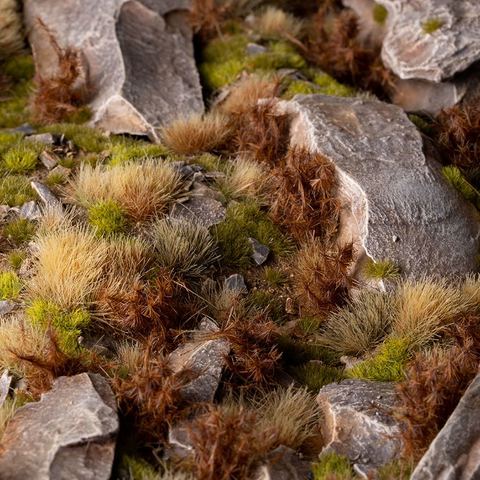 Spikey Brown Wild