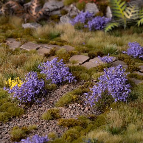 Violet Flowers Wild