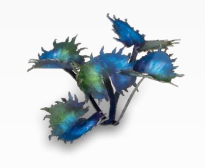 Laser Plants - Alien Flytrap