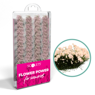 Scale75 PINK FLOWERS