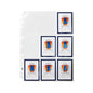 BECKETT SHIELD 9 Pocket Pages - standard (100 Stück)