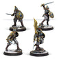 Preorder - WC Hegemony Black Legion Bucklermen