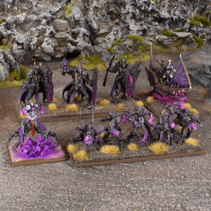 Preorder - Kings of Wars Champions La'theal Voidheart Company Box - DE