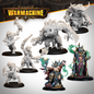 Preorder - Warmachine: Orgoth Sea Raiders Command Starter