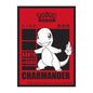 Pokemon Charmander Protector (65)