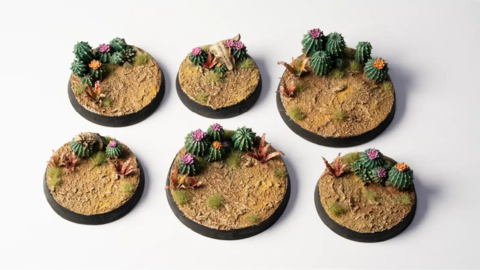 Preorder - Basing Bits - Barrel Cacti
