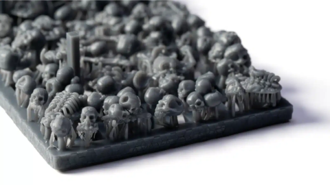 Preorder - Basing Bits - Skulls & Bones