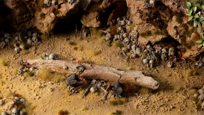 Preorder - Basing Bits - Skulls & Bones