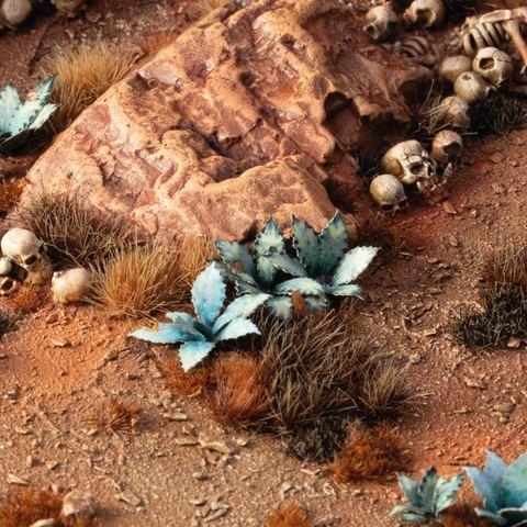 Preorder - Laser Plants - Blue Agave