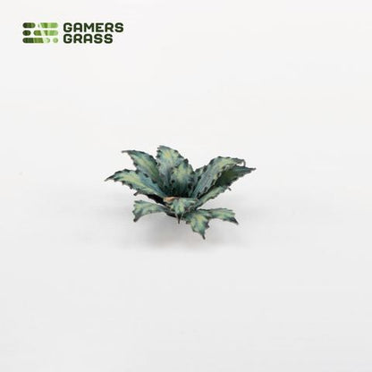 Preorder - Laser Plants - Blue Agave