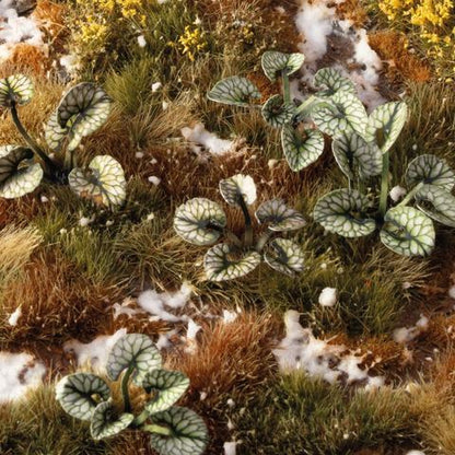 Preorder - Laser Plants - Bugloss