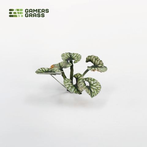 Preorder - Laser Plants - Bugloss