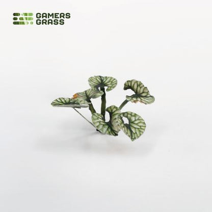 Preorder - Laser Plants - Bugloss
