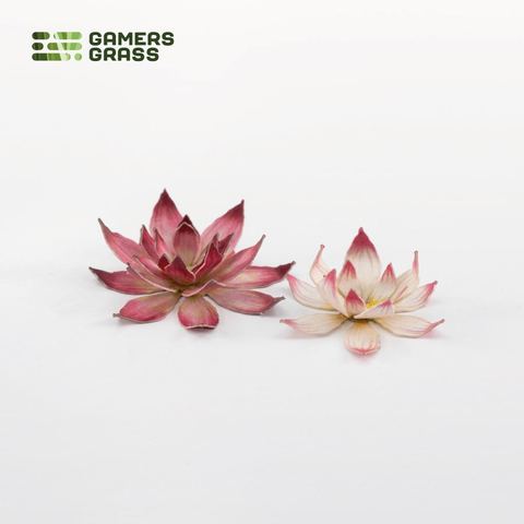 Preorder - Laser Plants - Lotus Flower