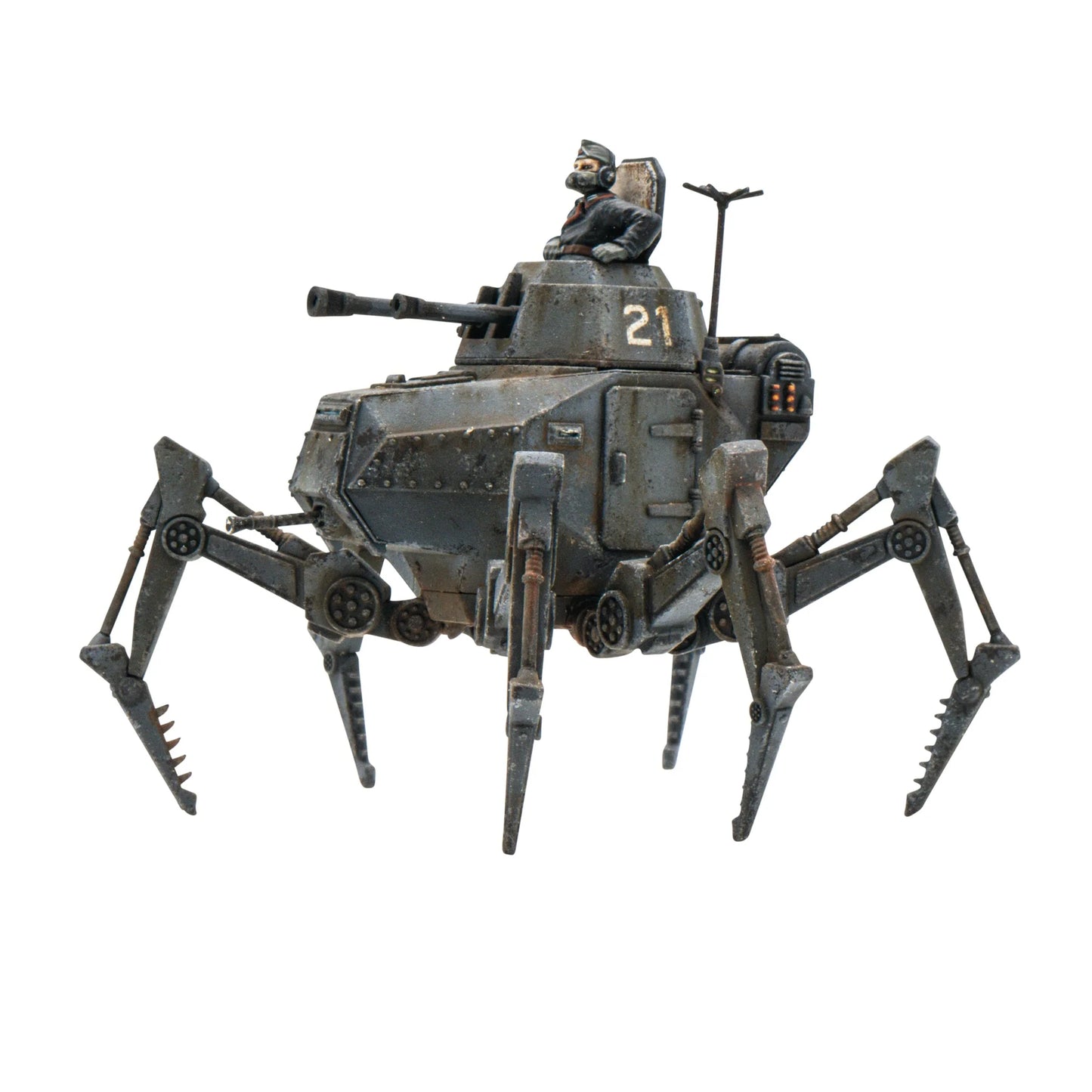 Preorder - Vogelspinne Light Walker