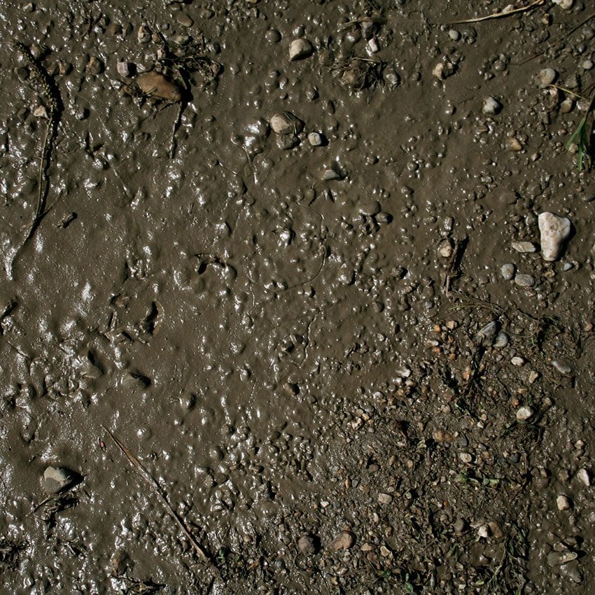 Terrains Wet Ground - 250ml (Acryl)