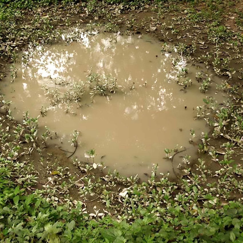 Puddles -Wassereffekt