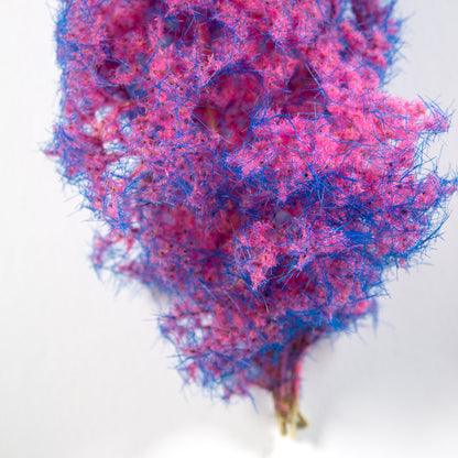 BLUE-PINK – FANTASY BUSHES