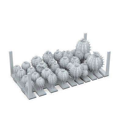 BARREL CACTUS – AK BASING BITS