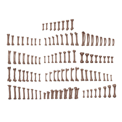 HUMAN BONES – AK BASING BITS