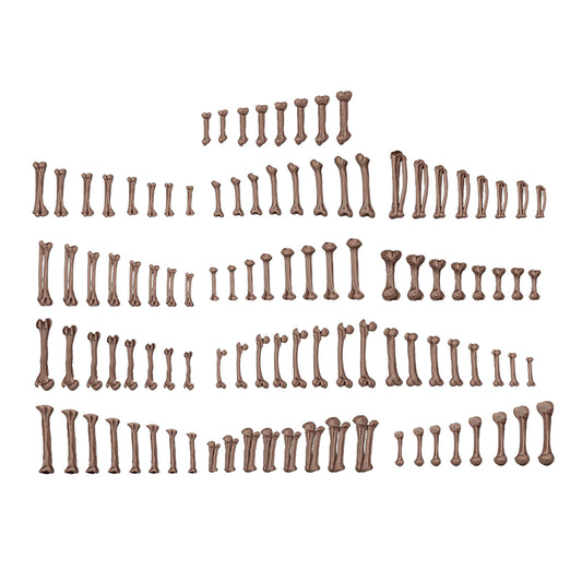HUMAN BONES – AK BASING BITS