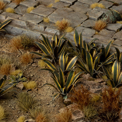 Agave | Laser Plant