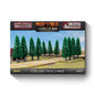 Preorder - Italian Tree Lines (x3)