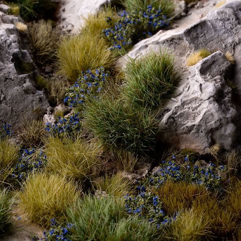 Blue Flowers Wild