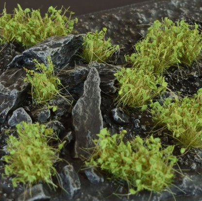 Dark Green Shrubs Tufts