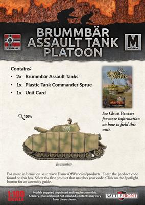 Brummbar Assault Tank Platoon (WM)