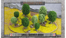Lade das Bild in den Galerie-Viewer, Essentials: Small Summer Wood (x1)
