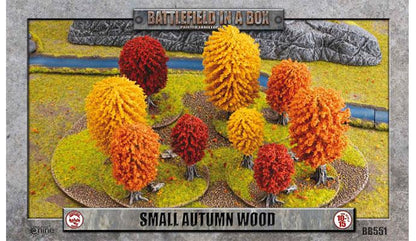 BB551 Essentials: Small Autumn Wood (x1)