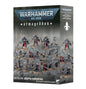 Armageddon-Bataillon: Adepta Sororitas