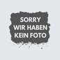 Schwanenritter von Dol Amroth™ (beritten)