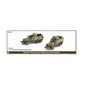 Preorder - Marine 75mm SPM Self-propelled Gun Platoon (x2)
