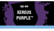 Xereus Purple (Layer)