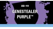 Genestealer Purple (Layer)
