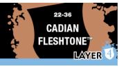 Cadian Fleshtone (Layer)