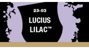 Lucius Lilac (Dry)